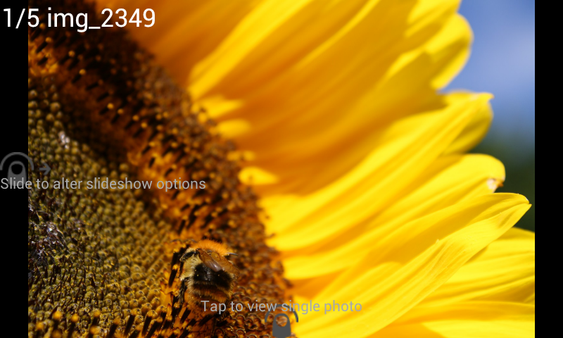 Digital Photo Frame Slideshow