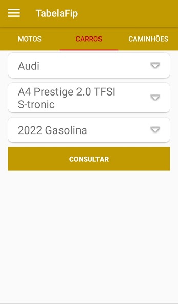 PlacaFip
