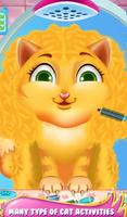Crazy Cat Makeover