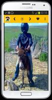 Algerie insolite