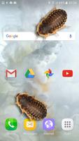 Bug in Phone funny joke