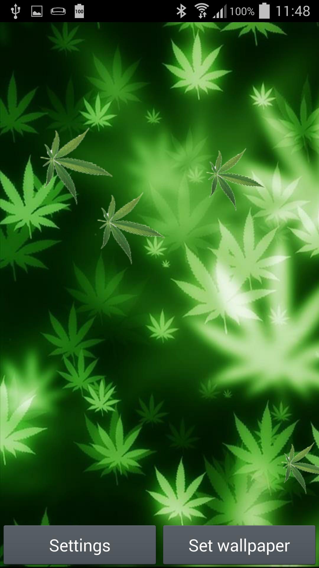 Marijuana