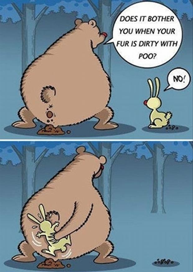 Picture Jokes