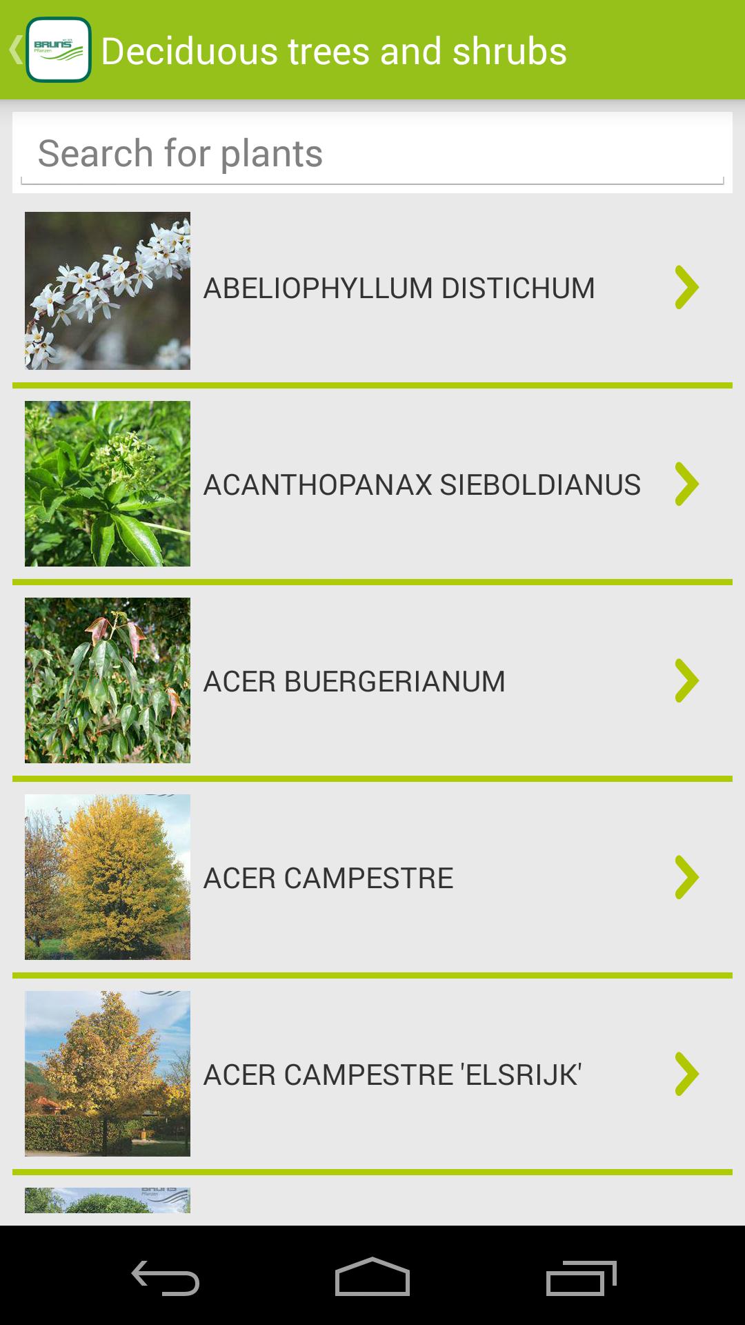 Bruns Plants