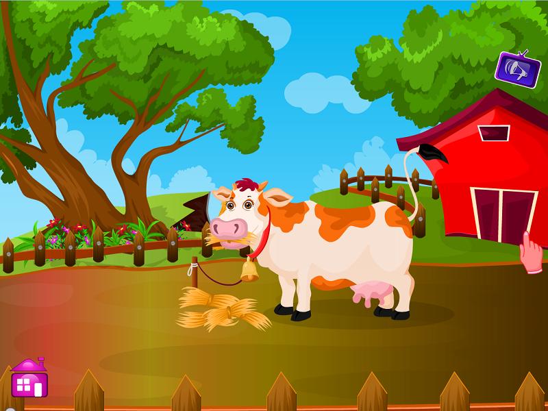 Cow Baby Birth