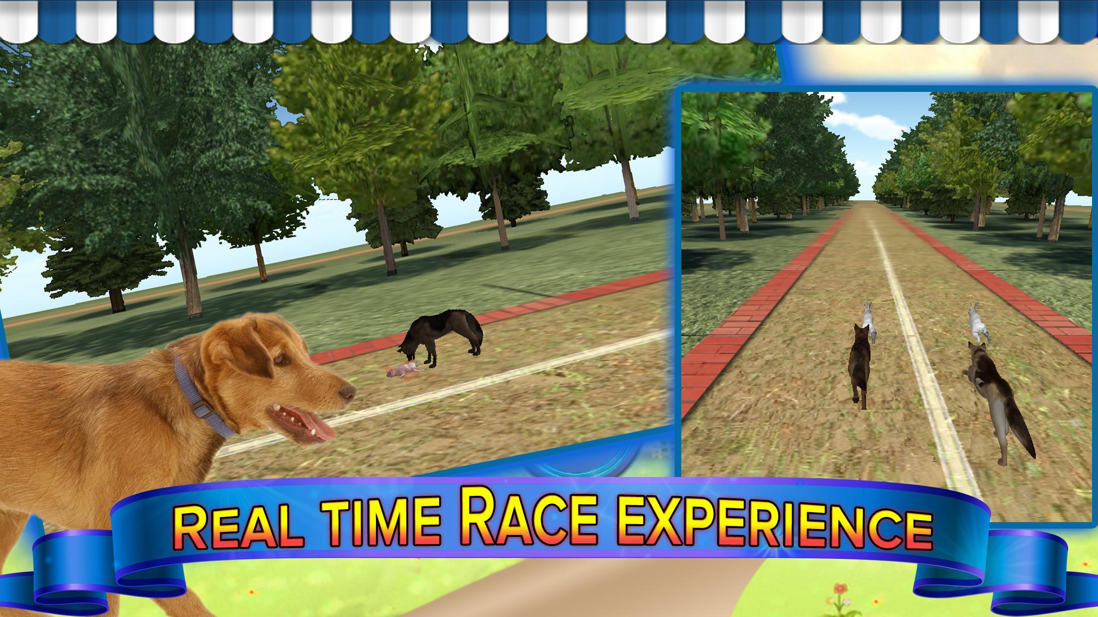 Dog Chase Rabbit Hunt Endless