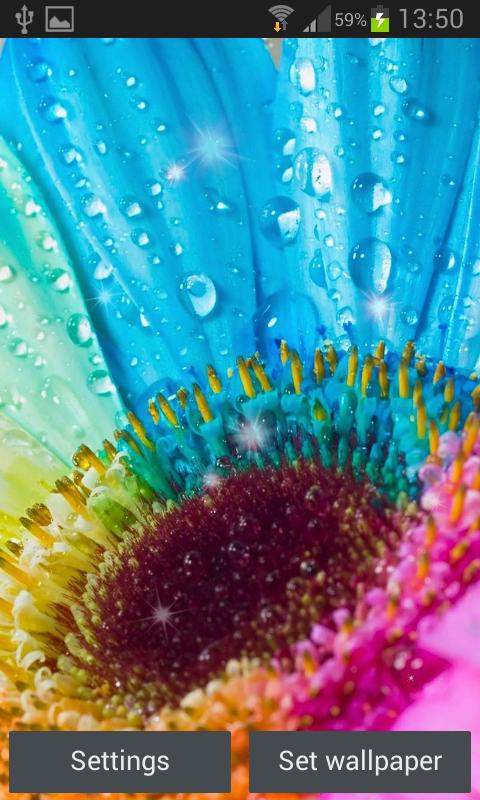 Glitter Flowers Live Wallpaper