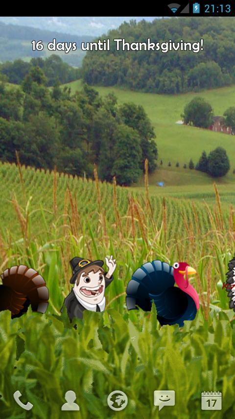 Thanksgiving Turkeys