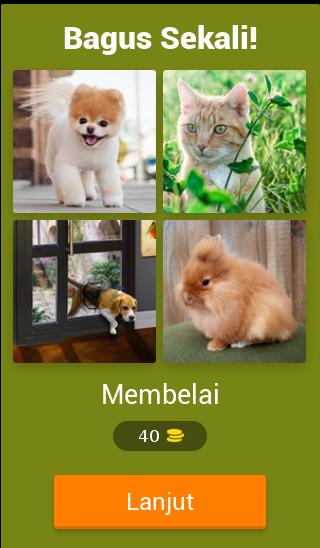 4 gambar 1 kata