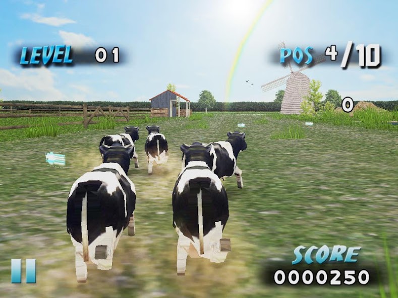 Farm Race
