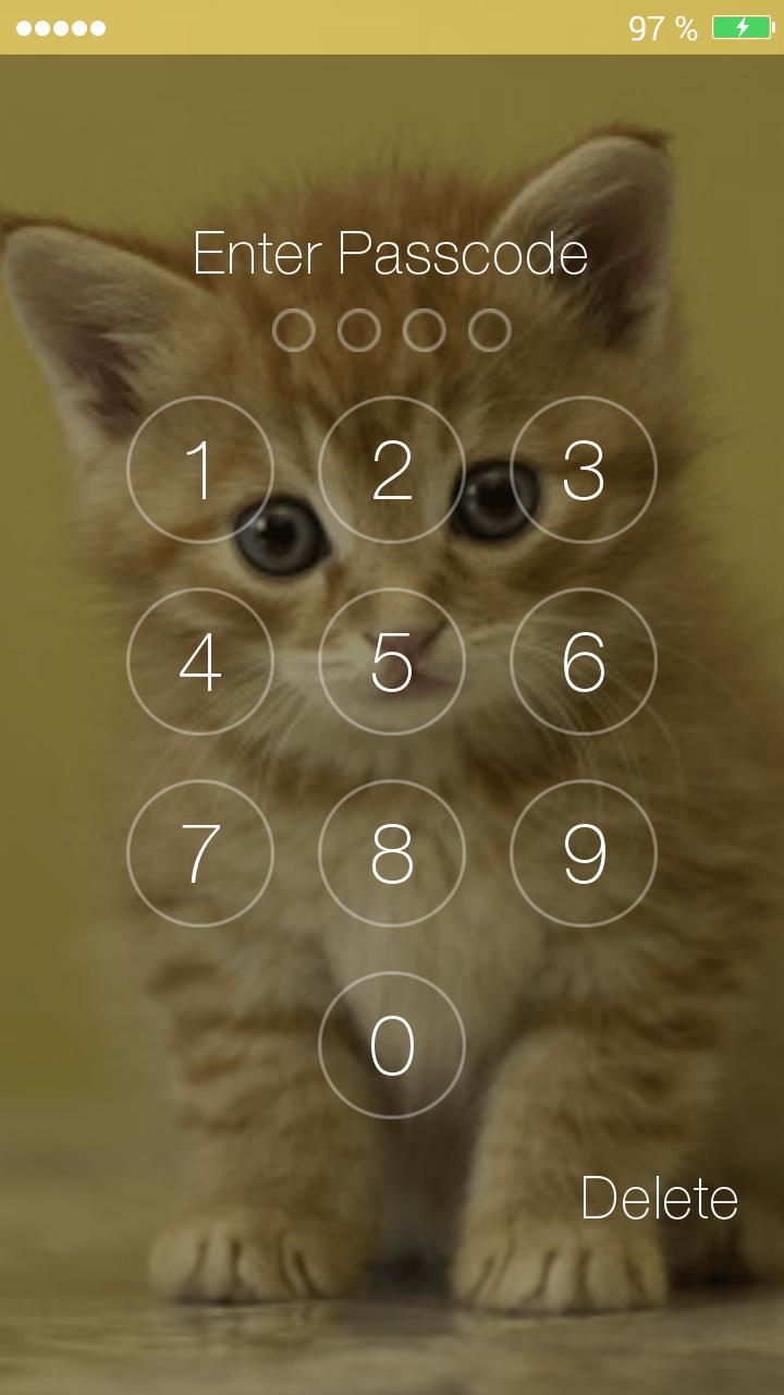 Kitty Pin Screen Lock
