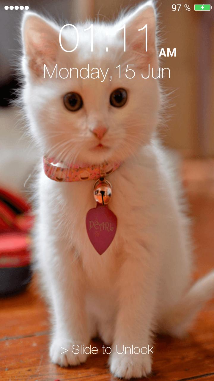 Kitty Pin Screen Lock