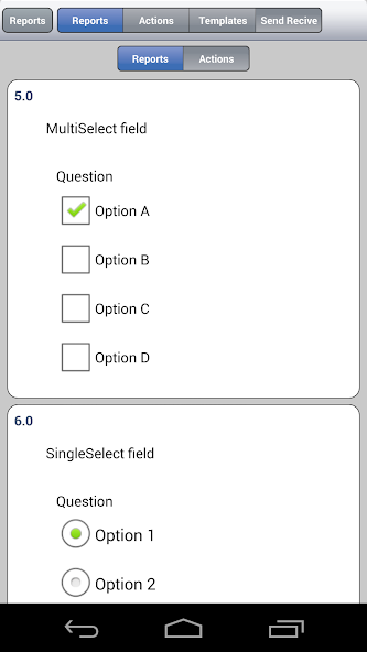ReportOnSite