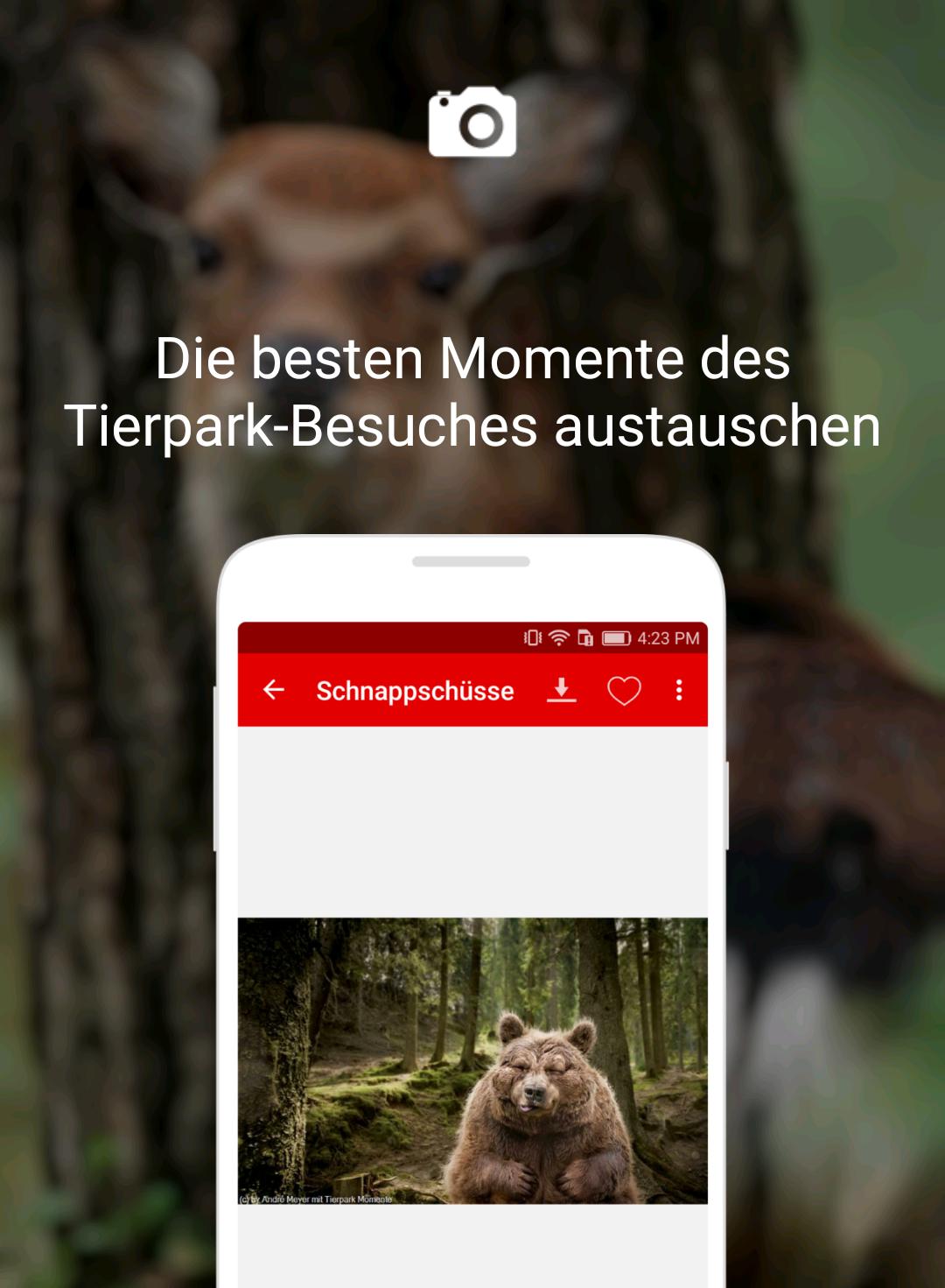 Tierpark Momente