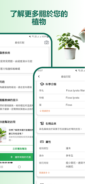 Plant identifier