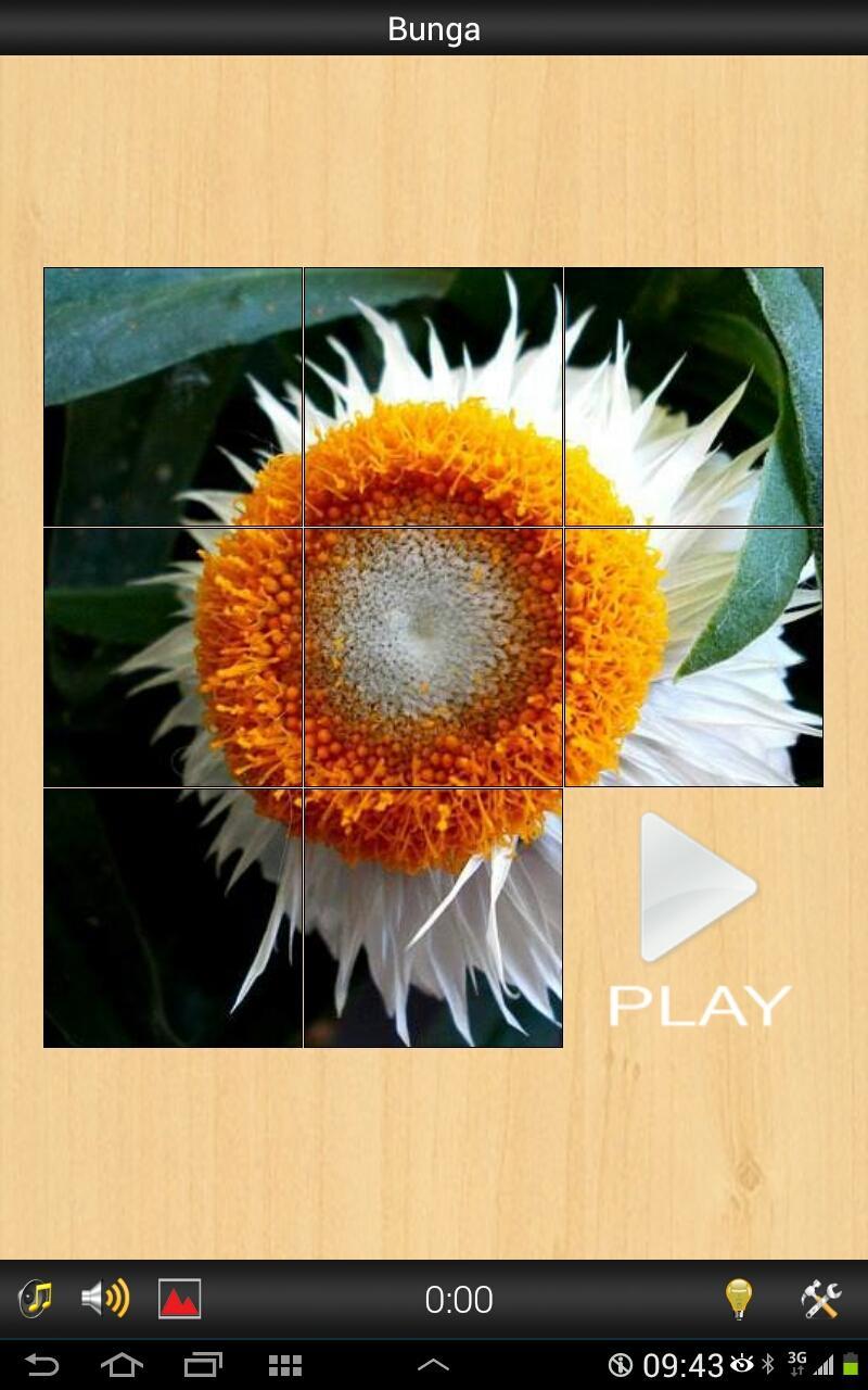 Best Flower game