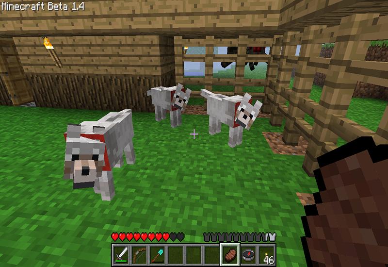 Pocket Pet Mod For Minecraft