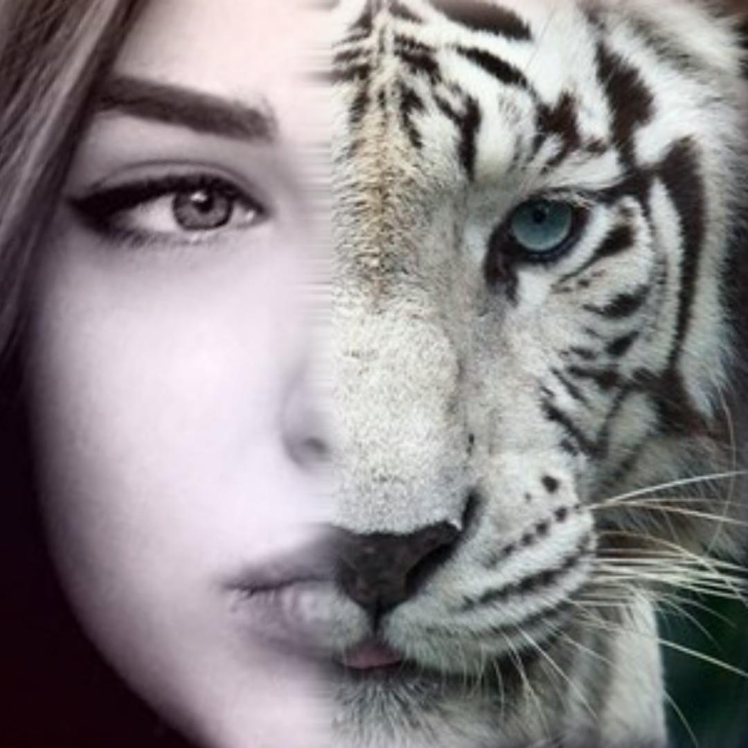 Animal Face Simulator