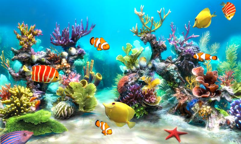 Sim Aquarium Live Wallpaper
