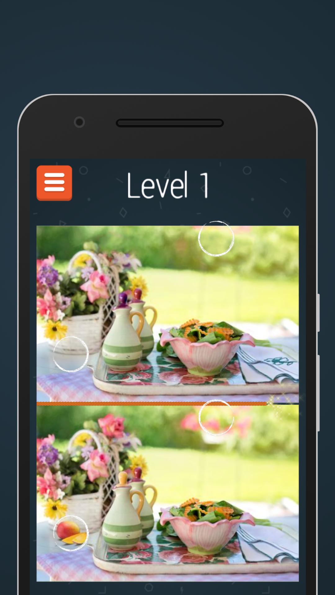 2 Photo 5 Differences
