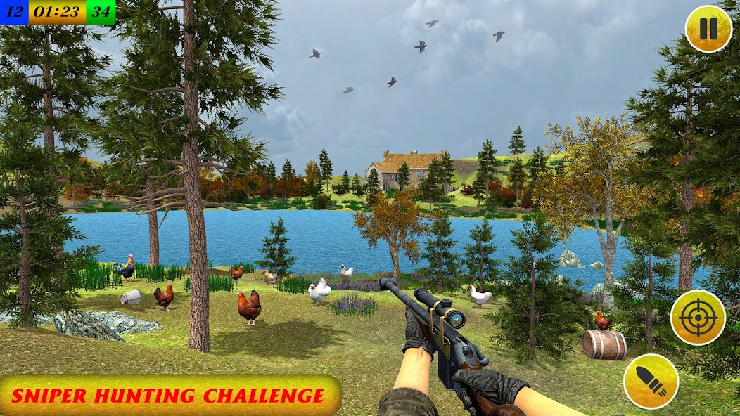 Chicken Shoot Sniper Hunting