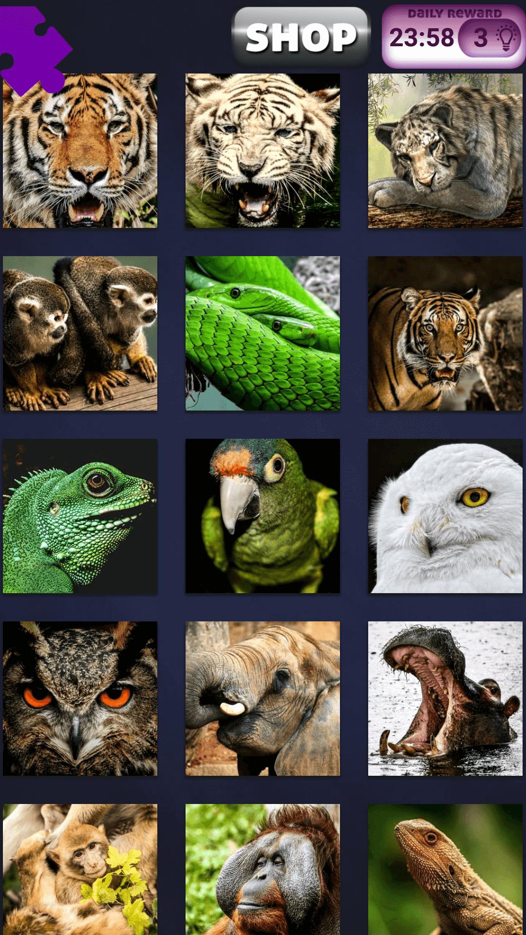 Jungle Animals Jigsaw Puzzles