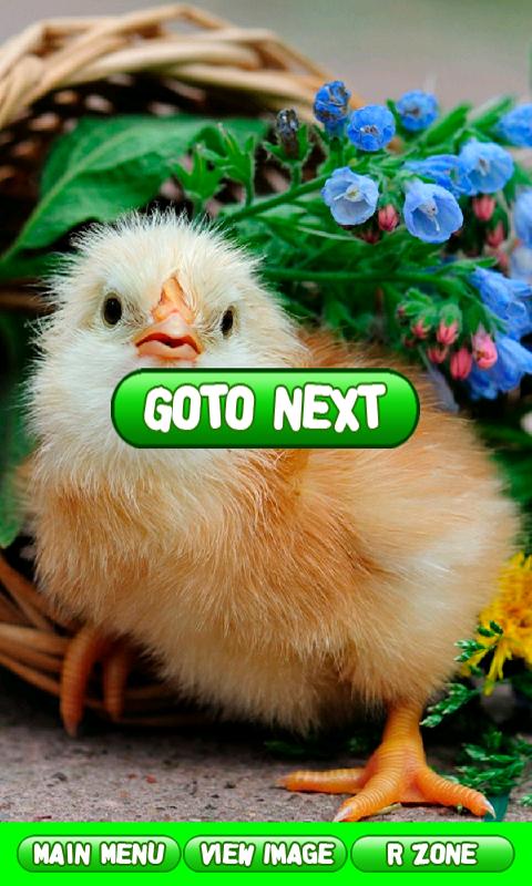 Animal Puzzles