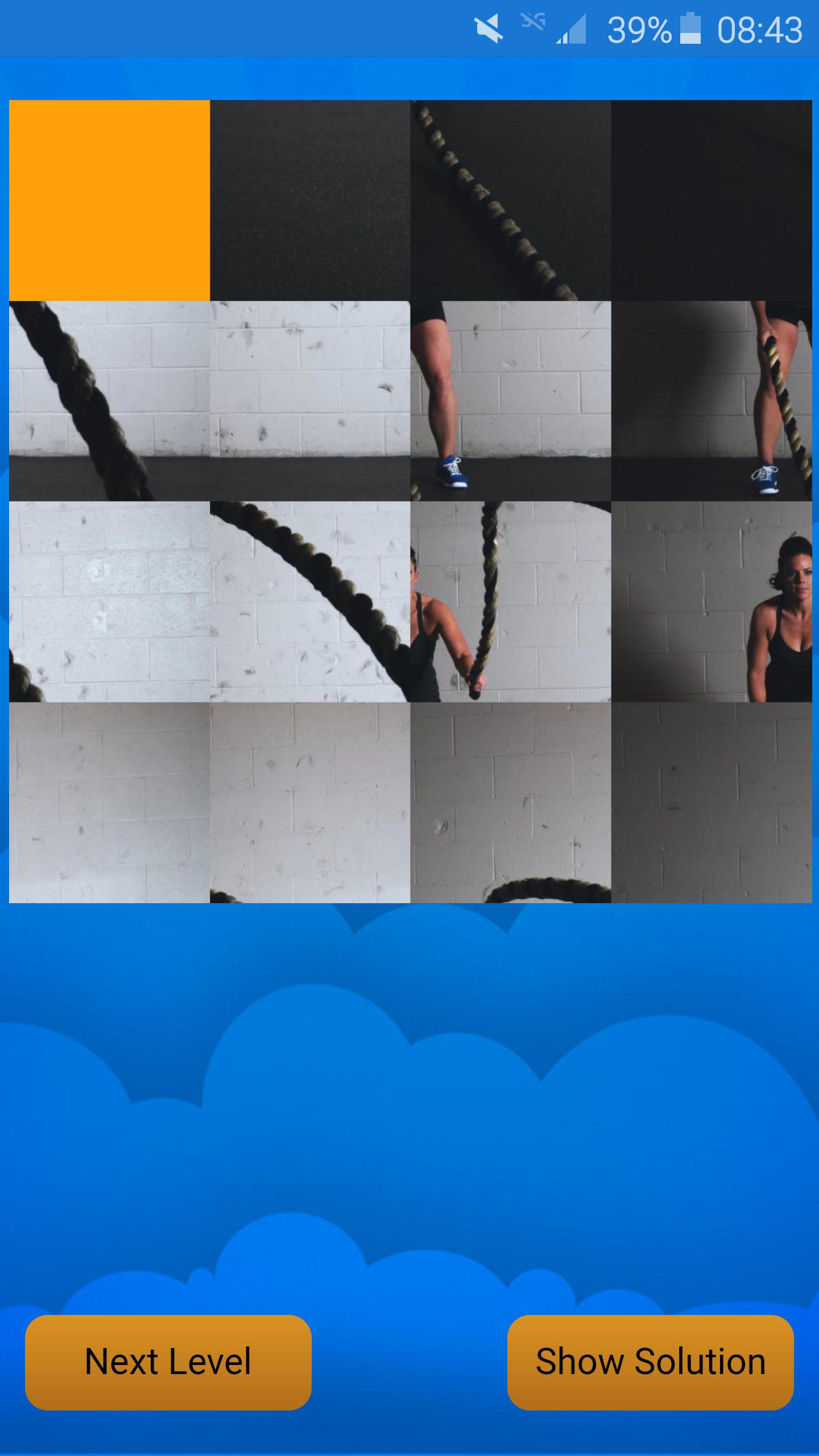 puzzle of sport